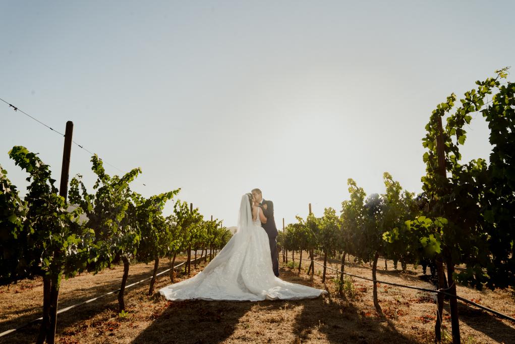 valle de Guadalupe wedding